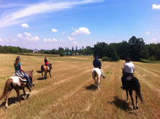 Italy-Northern Italy-Monferrato Wine Trail